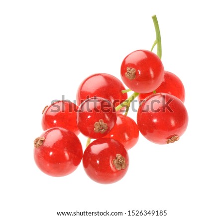 string of red currant on white background Royalty-Free Stock Photo #1526349185