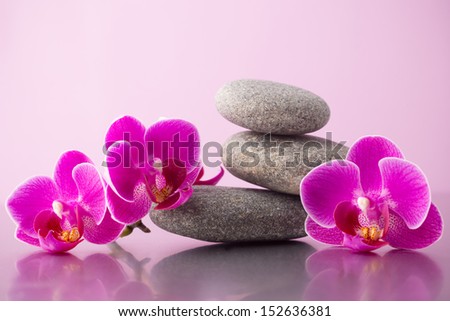 Spa stones pink orchid and pink background.