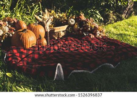 Fall family photo shoot back drop of a picnic outside with pumpkins a basket of corn and fall leaves decor with a green background surrounded by grass