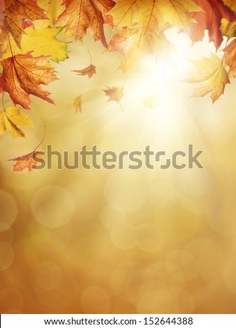 Autumn leaves on colorful background