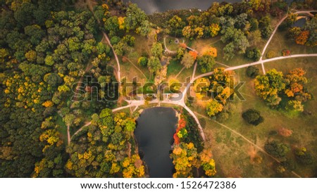Golden autumn in the park, autumn park, aerial photography.
