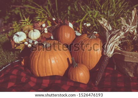 Fall family photo shoot back drop of a picnic outside with pumpkins corn and fall leaves decor with a green background surrounded by grass
