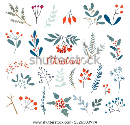Christmas floral collection with winter decorative plants and flowers. Cute hand drawn in scandinavian style. Illustration of winter berries and Christmas tree branches.