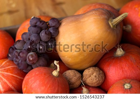 Walnuts and ripe grapes lie on ripe orange pumpkins. Harvesting vegetables and fruits, wholesome food. Background