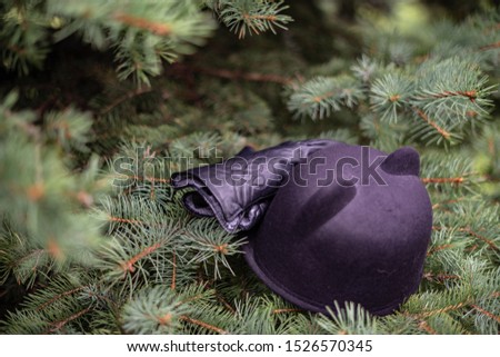 hat with gloves on spruce