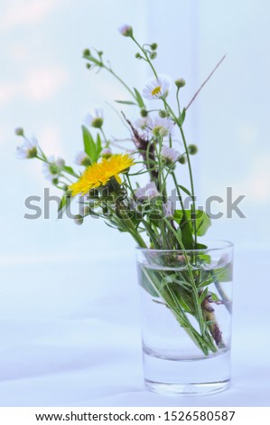 Composition of wildflowers in a glass in water