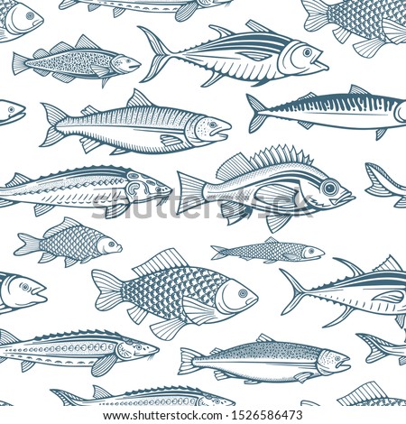 Fishes seamless pattern. Different fishes endless hand drawn texture. 