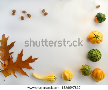   Composition for designer greeting cards from autumn leaves and Halloween holiday pumpkins.                             