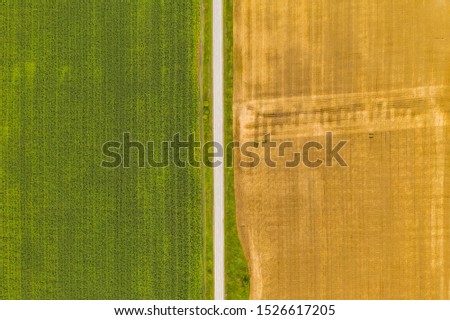 Aerial top view drone photography of a land with sown green fields in countryside