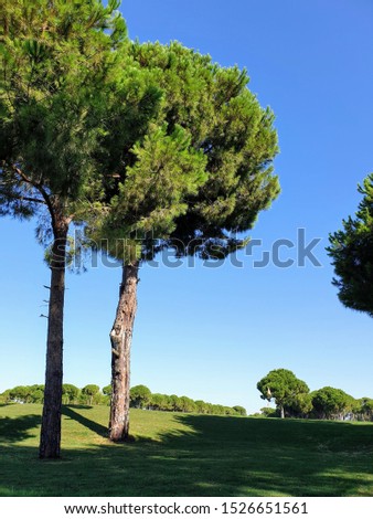 Golf course background in Turkey