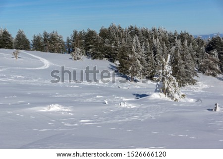 Winter Panorama of Vitosha Mountain, Sofia City Region, Bulgaria