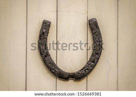 Lucky horseshoe on a wooden door