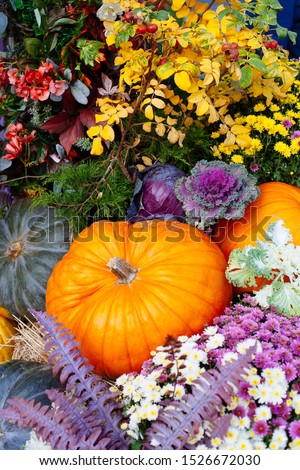 Pile of pumpkins sold at a market  for halloween. Autumn decorations, pumpkins in various shapes and sizes