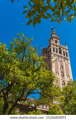 "Experience the stunning beauty of The Giralda tower in Seville, surrounded by lush greenery in this photo. Perfect for architectural, religious and travel photography lovers.