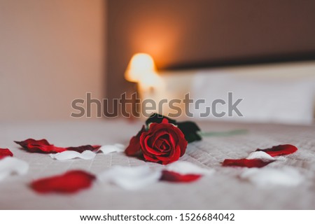 
Rose on the bed in the hotel rooms. Rose and her petals on the bed for a romantic evening
 Royalty-Free Stock Photo #1526684042