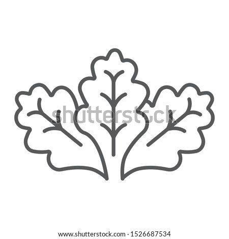 Lettuce thin line icon, vegetable and organic, salad sign, vector graphics, a linear pattern on a white background, eps 10. Royalty-Free Stock Photo #1526687534