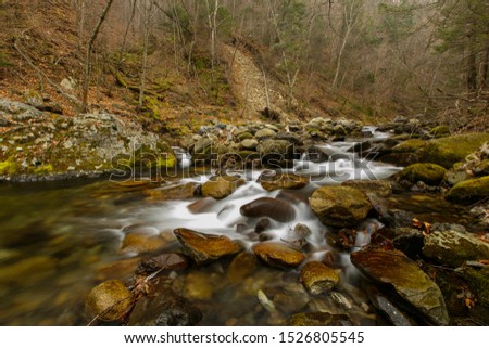 Beautiful landscape. A picturesque stream flows through the autumn forest among small stones.