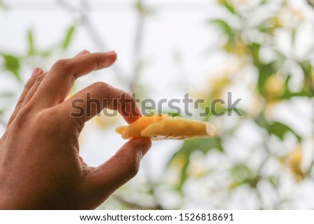 Hand Holding Fresh Cut Pineapple on plant nature background
