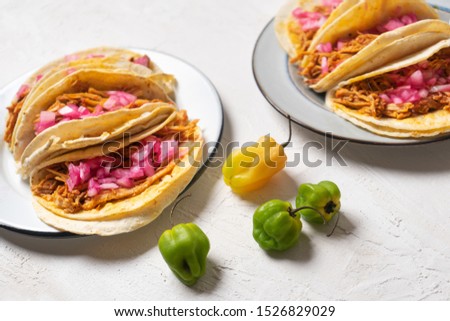 Traditional mexican pork tacos  called cochinita pibil on white background
