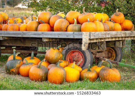 Fall pumpkins for sale on a roadside cart