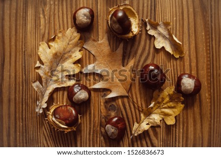 Top view of a composition of oak and maple leaves, ripe chestnuts on a brown wooden board. Autumn mood.