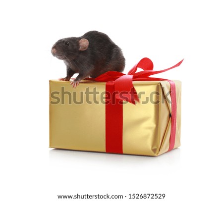 Cute little rat and gift box on white background. Chinese New Year symbol