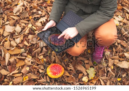 Taking a picture of a toadstool mushroom with a tablet computer. Female plant scientist or botanist photographs a wild mushroom in the forest, concept of researching nature and plants