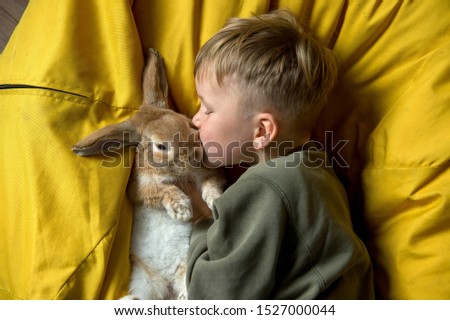 Child boy playing with bunny rabbit. Kid holding funny little pet.