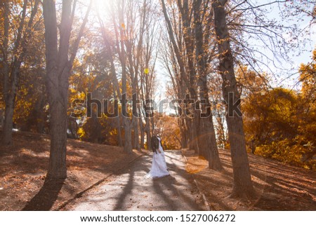 Beautyiful alone woman walking alone at fall nature forest or park alley against the background autumn trees and sun. Bride wearing white wedding dress.