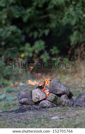bonfire on natural background