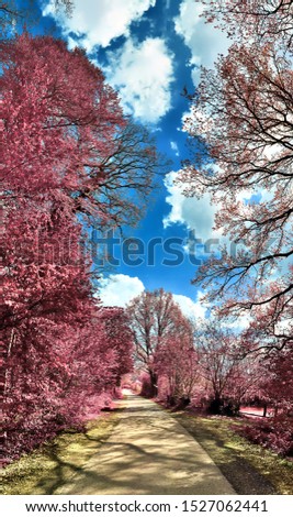 Beautiful fantasy infrared landscape panorama in pink and purple colors