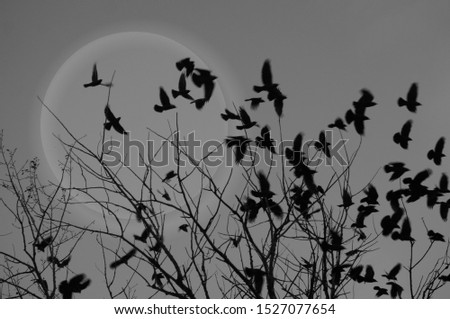 Crows flock on grey sky with trees silhouette and huge full moon behind. Halloween Collage art with mysterious dramatic october sky and group of ravens.