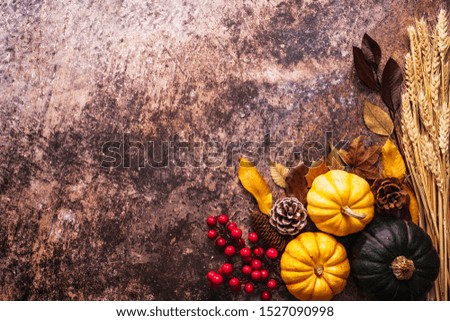 Happy Thanksgiving Day with pumpkin and nut