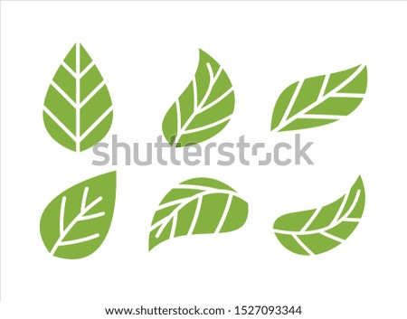 green leaf icons design template vector
