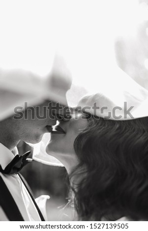 black and white picture of Wedding. Bride and groom holding hands and walk on the green field