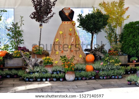 Autumn funny composition with pumpkins, heather, trees and autumn clothes.