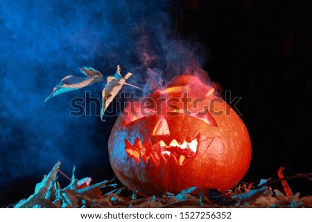 halloween, pumpkin, October 31 holiday,1