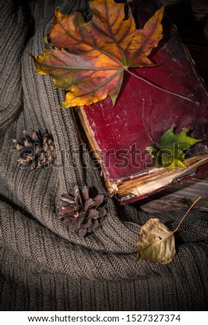 Autumn still life with fallen leaves and sweater on wooden background