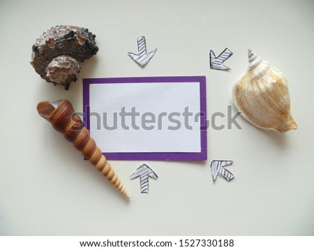 Blank for text with shells and a white sheet