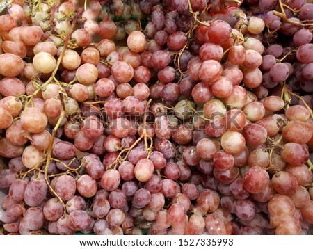 Red wine grapes background. Macro Photo food pink grapes berries. Texture pattern background of round pink violet grapes berries. Image fresh berries fruit color grapes on branch
