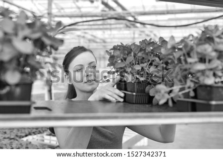 Beautiful female botanist arranging seedlings on shelf in plant nursery
