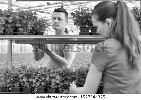Female and Male botanist arranging seedlings on shelf in plant nursery
