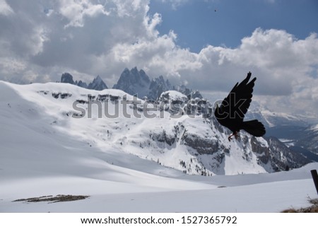 Snow landscape, Birds flying, Dolomites