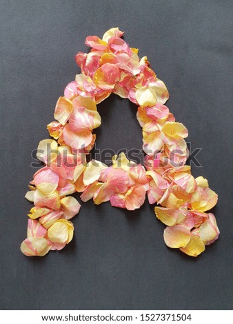 rose flower petals forming the letter A