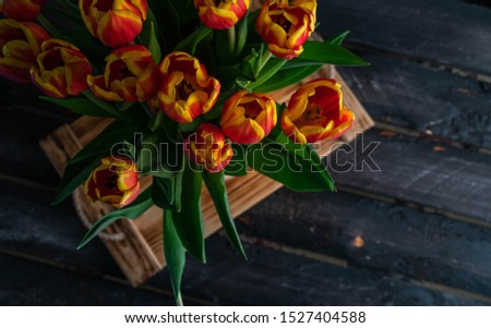 Moscow/Russia-CIRCA 10.2019: an image of orange colour tulips, dark wooden backdrop, rustic style, spring gift