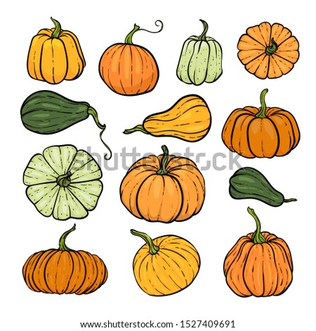 Set of decorative orange and green pumpkins. Hand drawn sketch vector autumn illustration. Thanksgiving Day, halloween Holiday background. Harvest