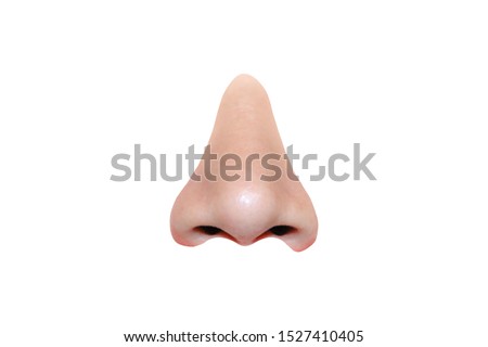 View of the nose lustrings on white background Royalty-Free Stock Photo #1527410405