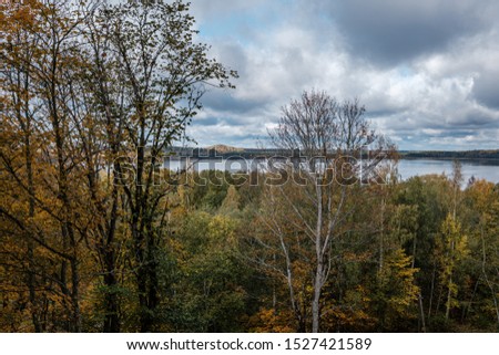 beautiful natural lake or river in autumn with colored tree leaves in golden yellow maple trees in foreground