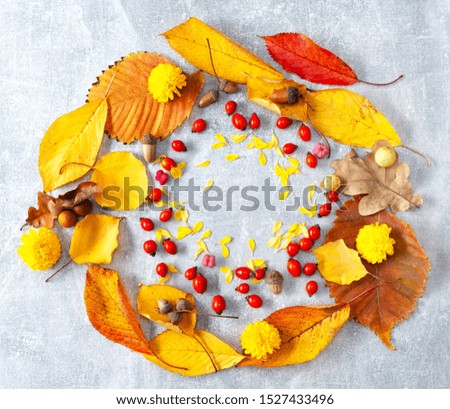 Autumn leaves picture top view warm colors