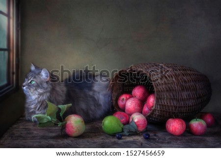 Still life with basket of apples and adorable gray kitty